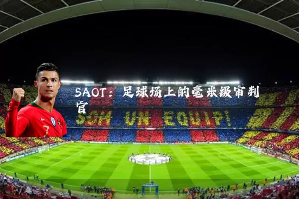 SAOT：足球场上的毫米级审判官