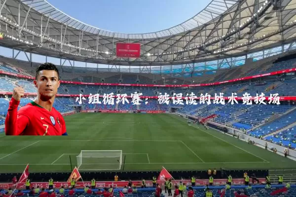 小组循环赛：被误读的战术竞技场